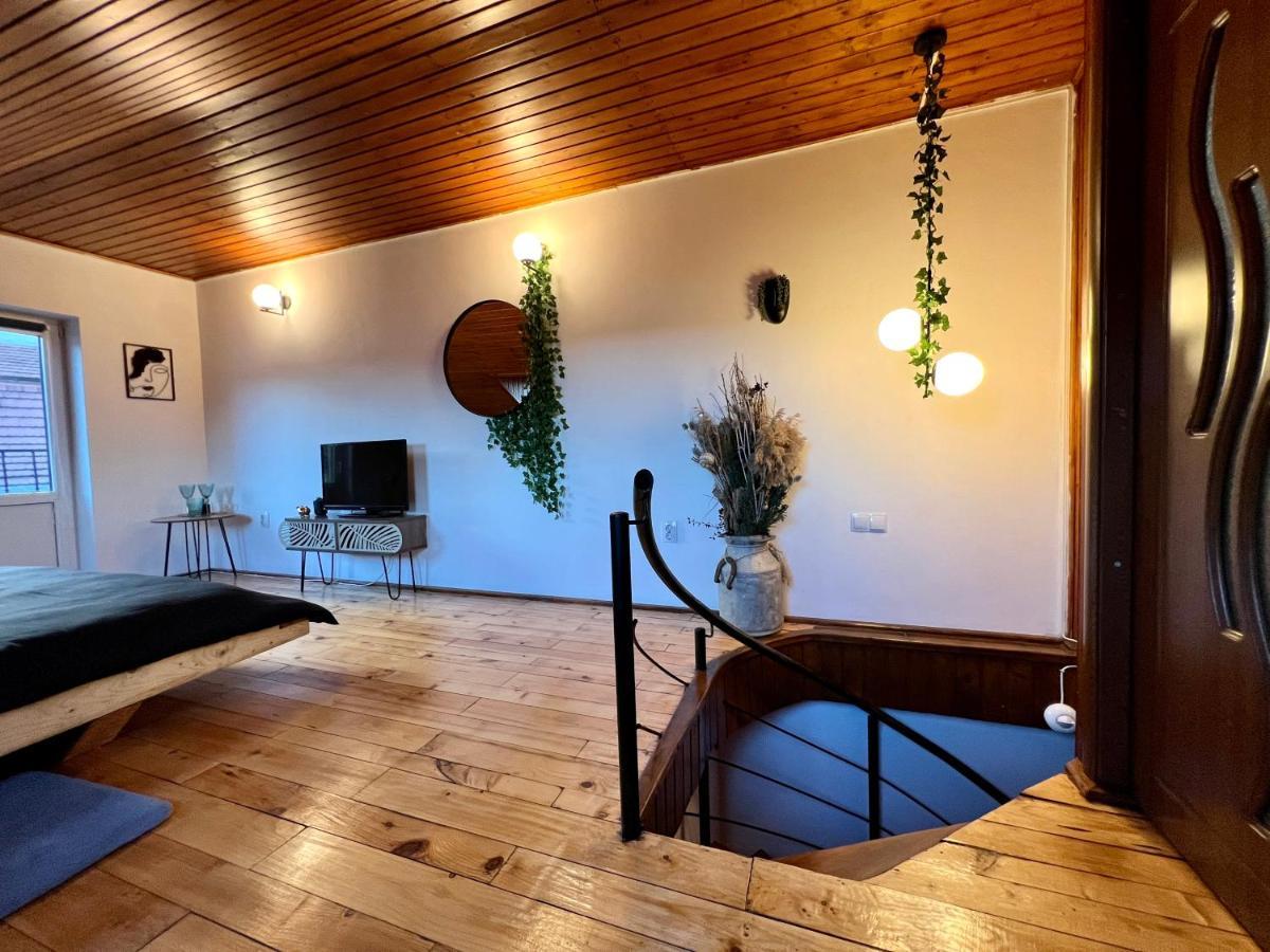 Nacada Studio By Hyco Apartment Sighisoara Exterior photo